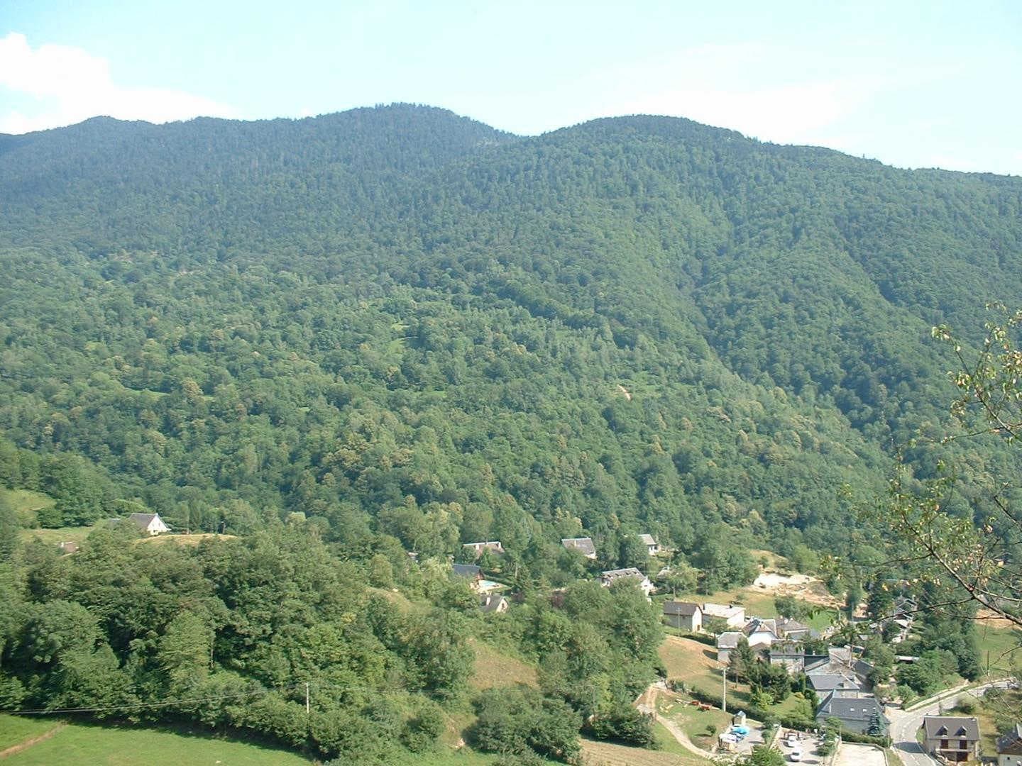 Au Cabanous