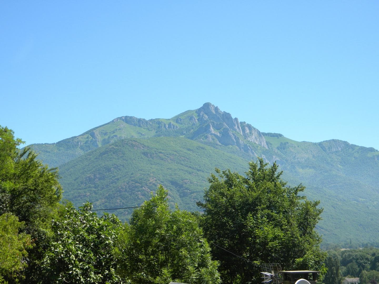 Les Ecureuils