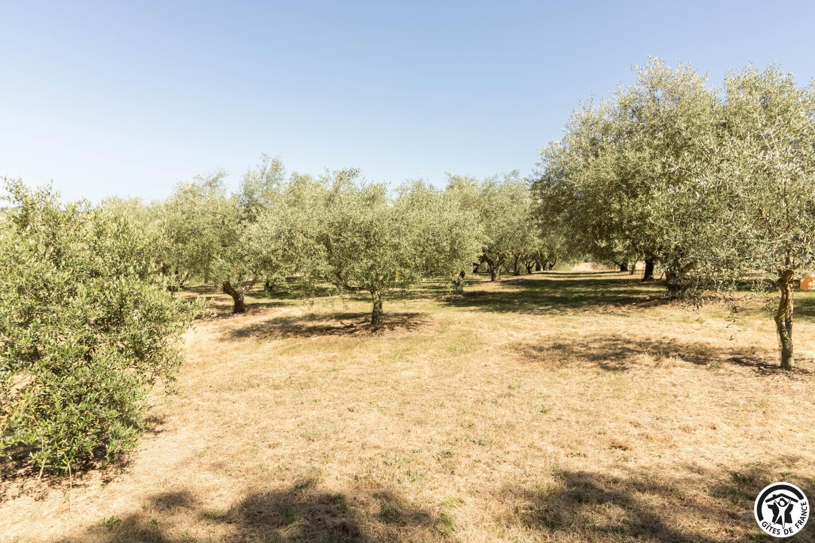 Le Matelot