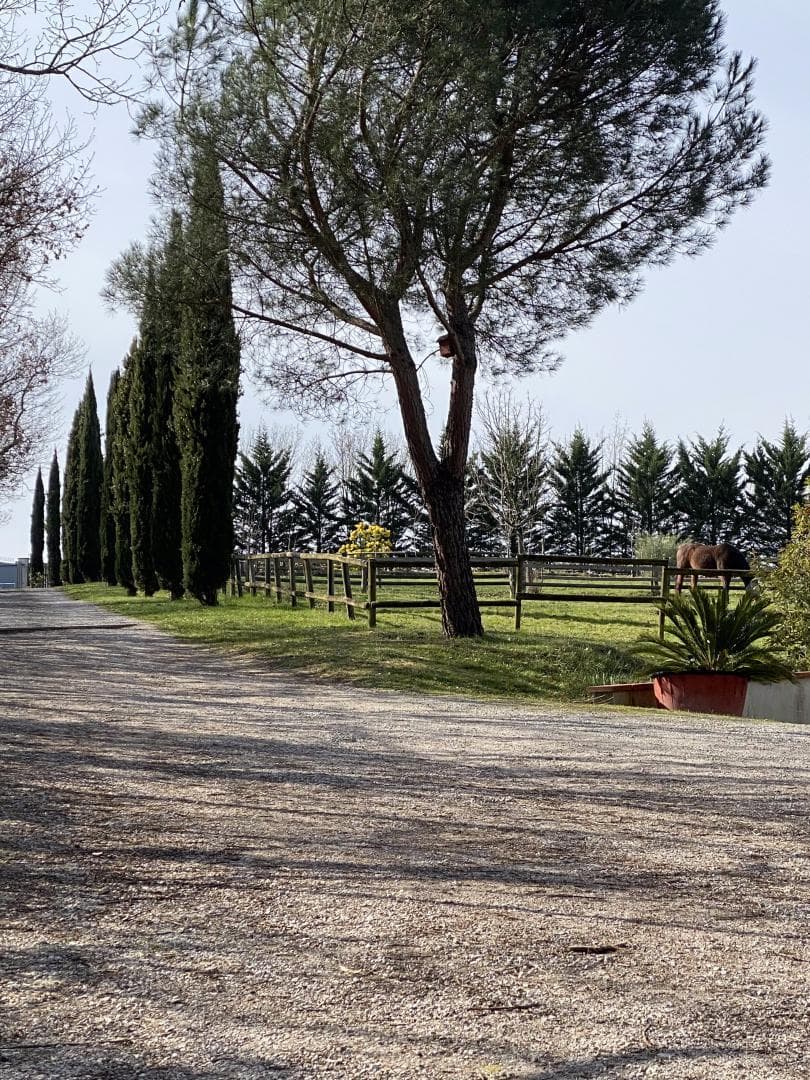 Villa Les Paradoux
