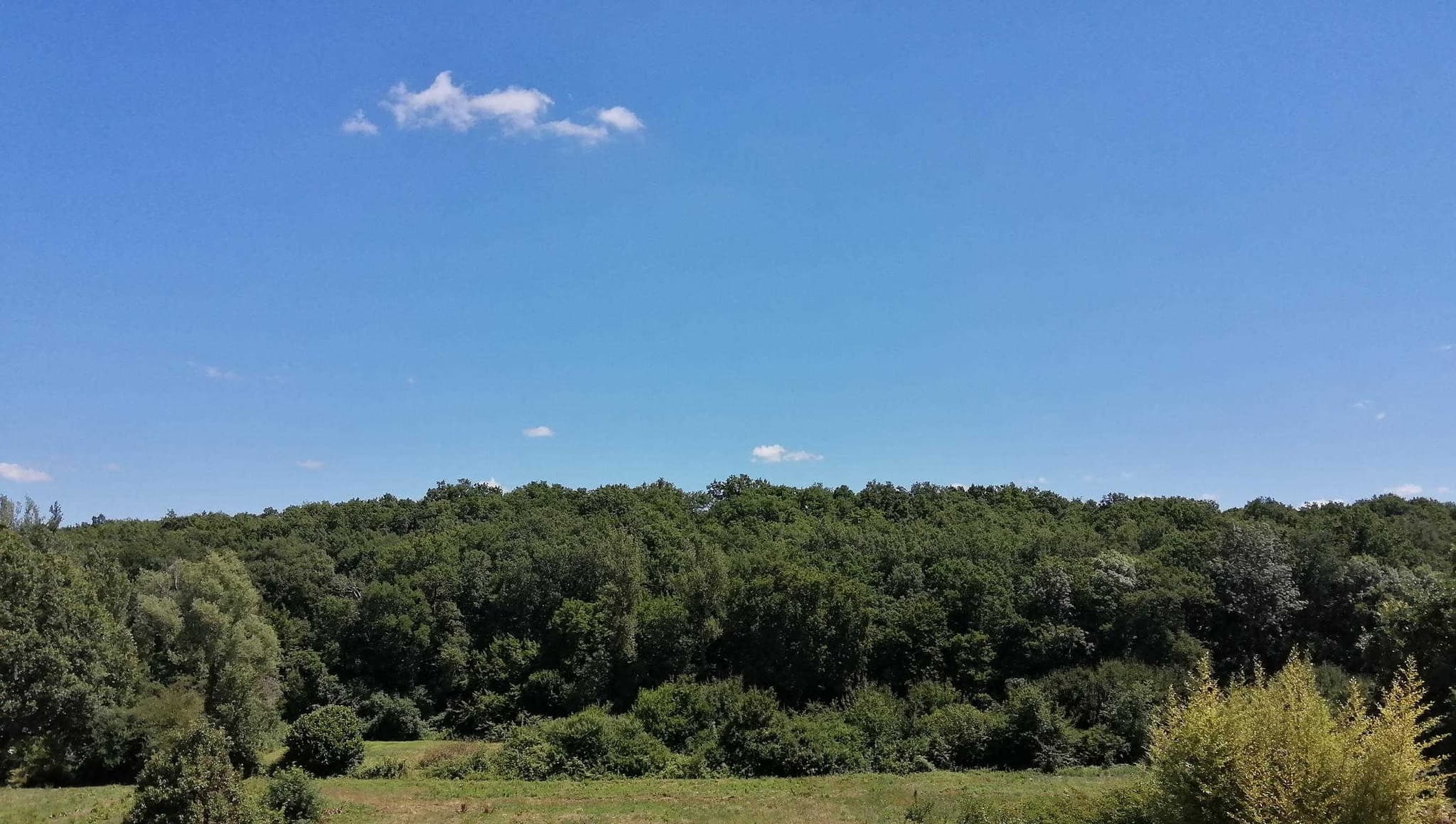 Green Valley
