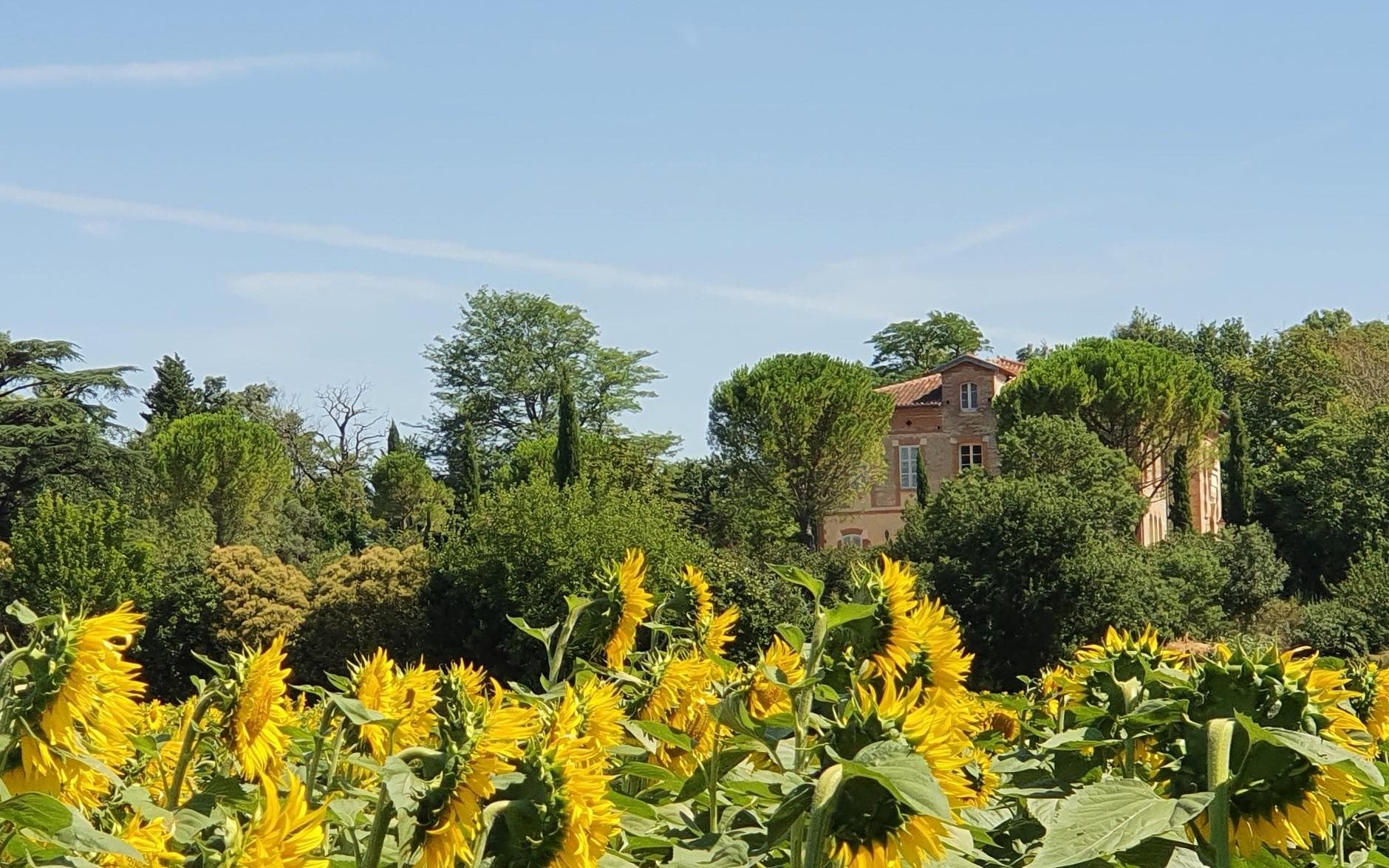 Château Sud
