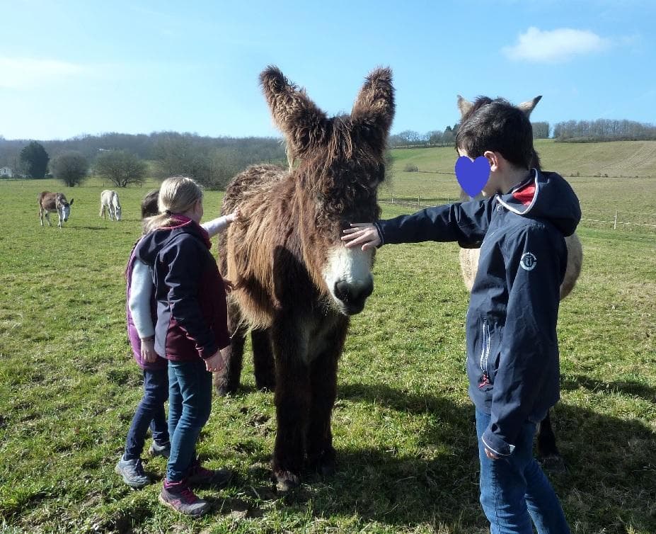 La Petite Ecurie du Marjoulet
