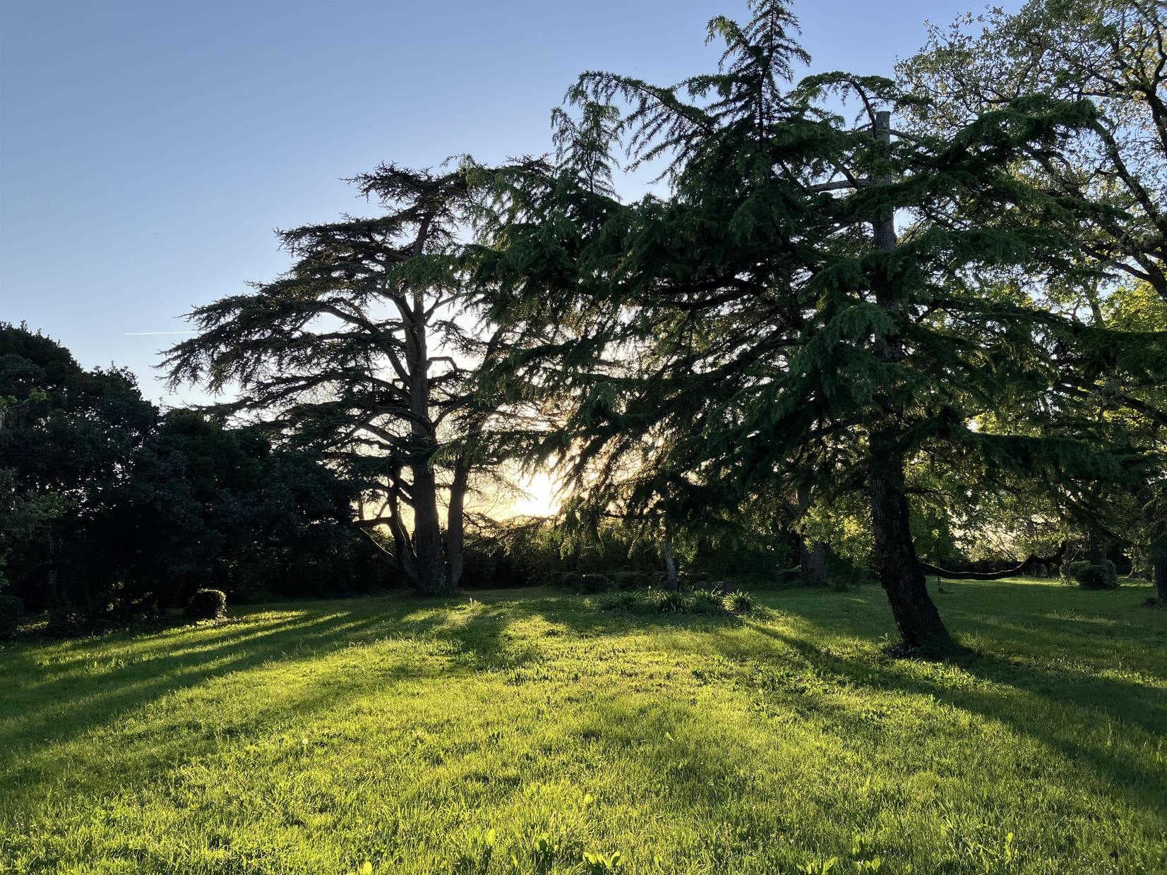 Domaine de la Bordasse
