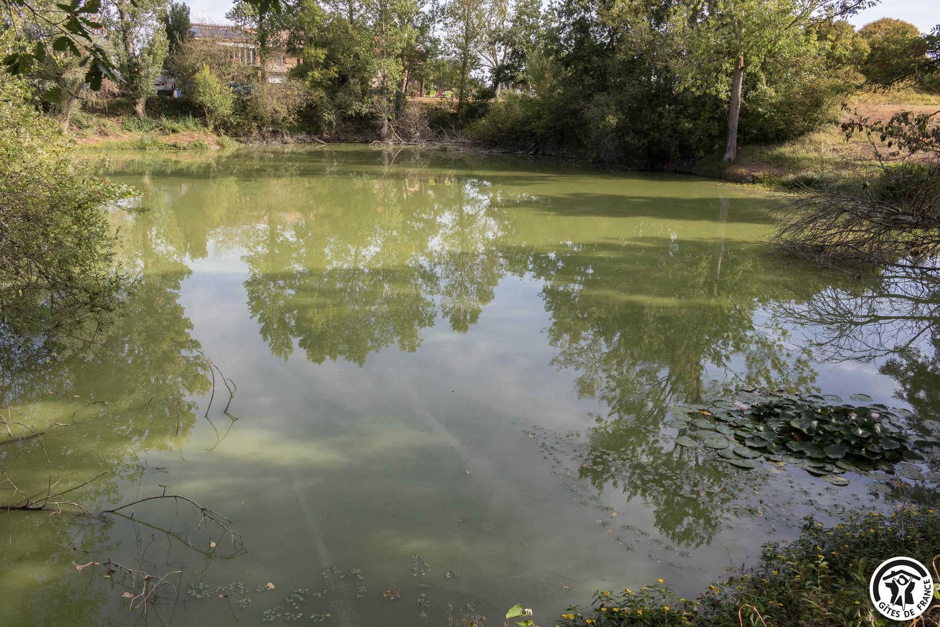 Le Pigeonnier de la Rivière