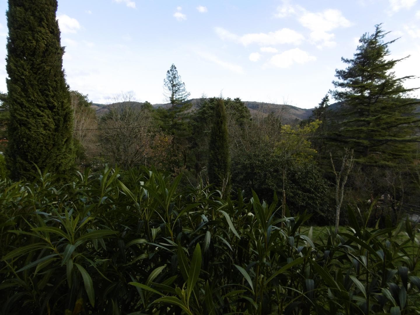 La Villa Horizon
