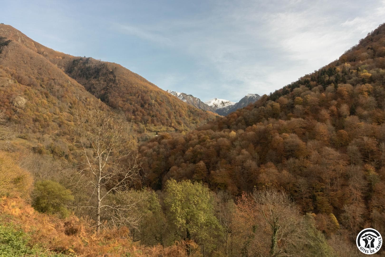 Le Chalet Barimale