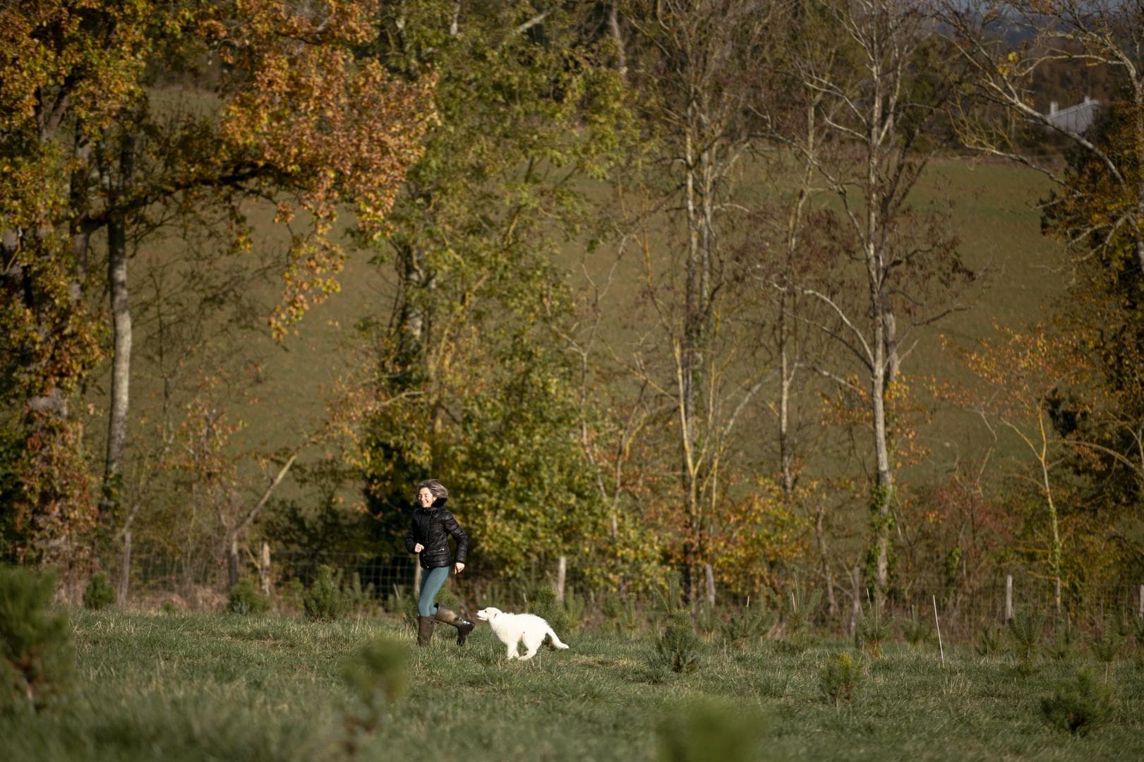 Escons Domaine de Charme