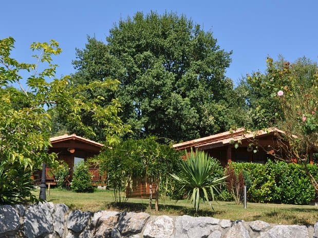 Vue des chalets - Camping Paradis Midi-Pyrénées