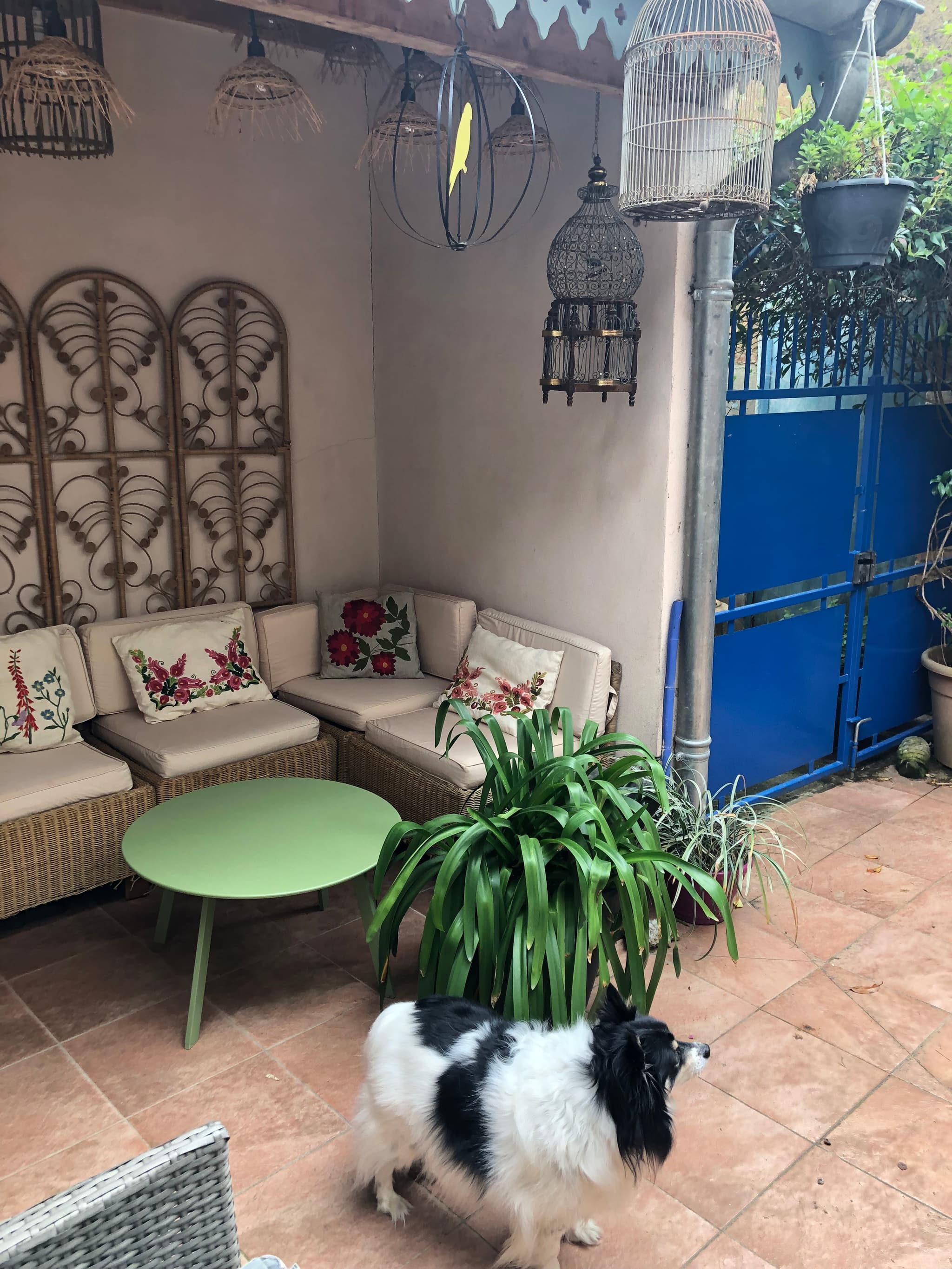 Chambre 2 rêve L'Isle en Dodon - Terrasse Comminges Pyrénées