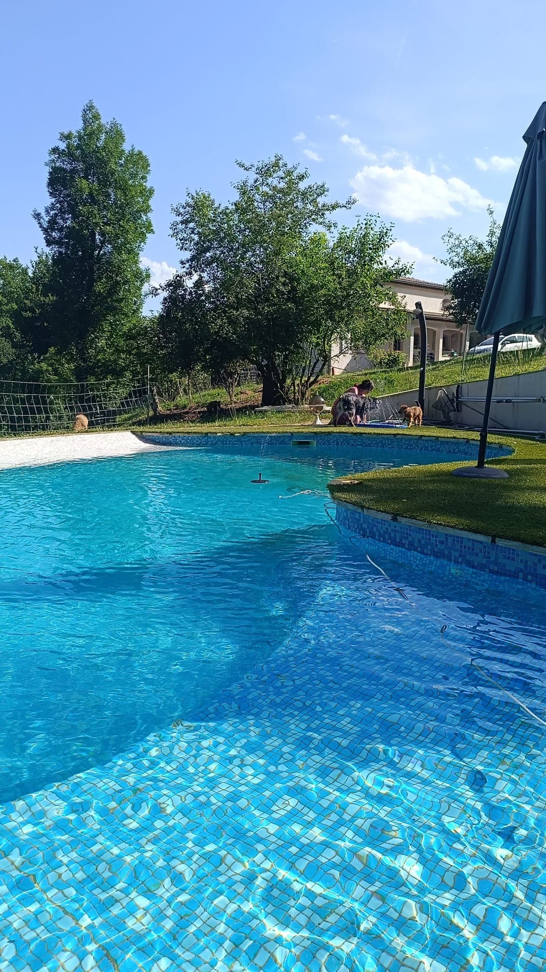 Chez les Soays Piscine- Landorthe