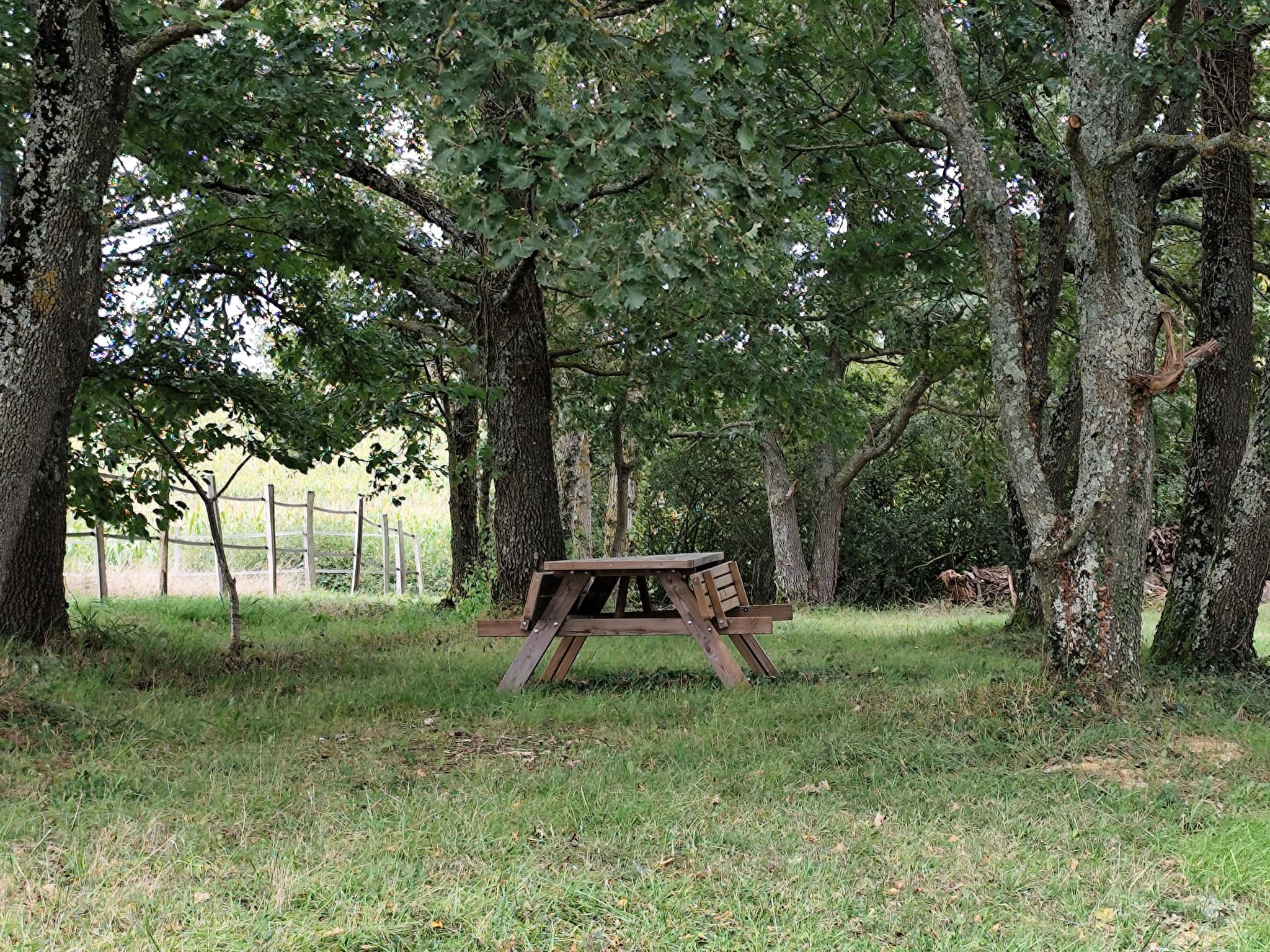 Domaine d'Antichan - Le Parc Saint Pé Delbosc Comminges Pyrénées