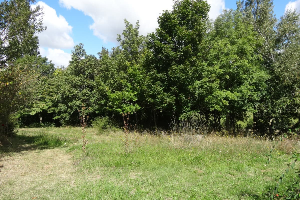 HLOMIP031CM00764_29
