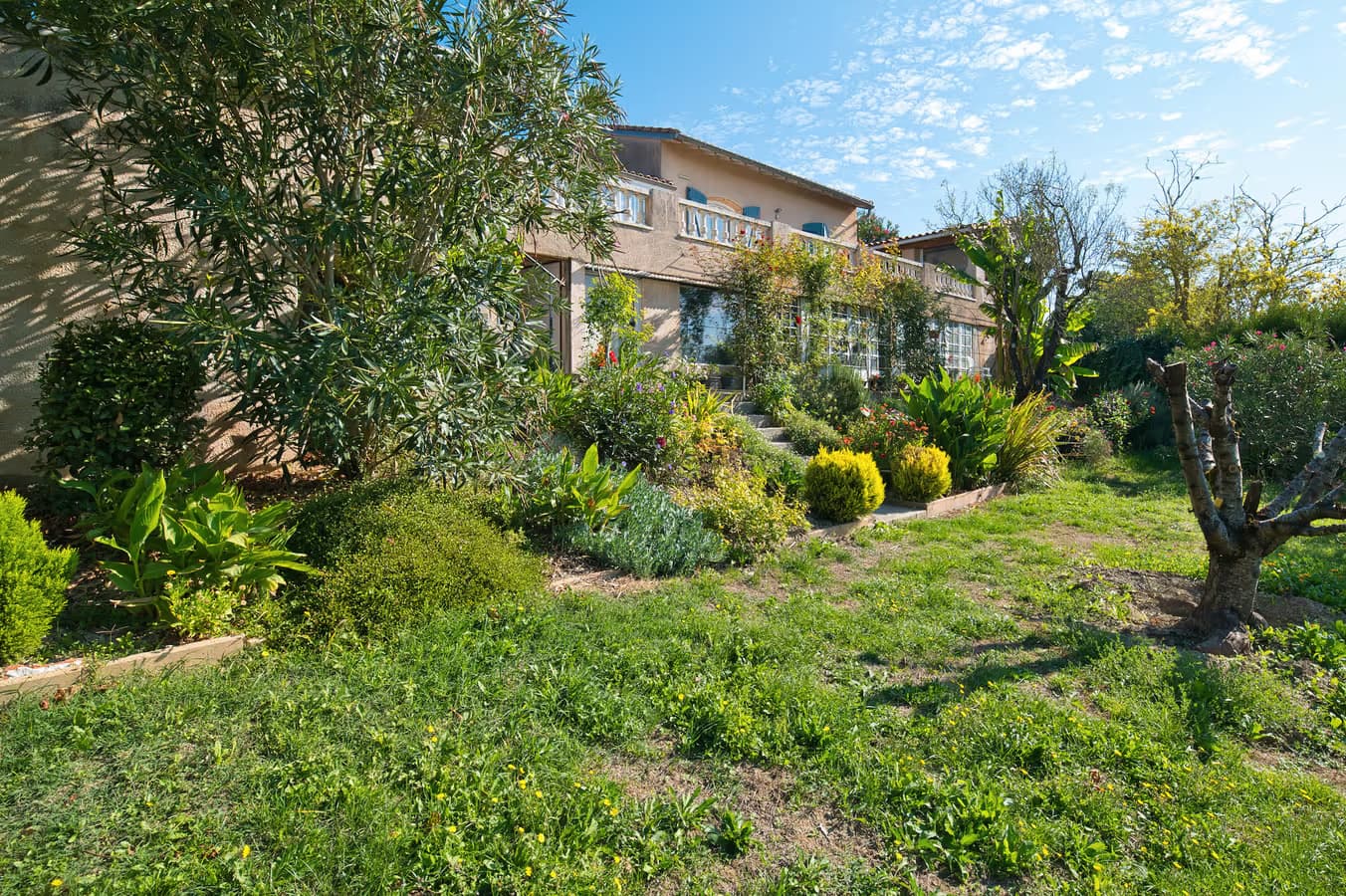 jardin