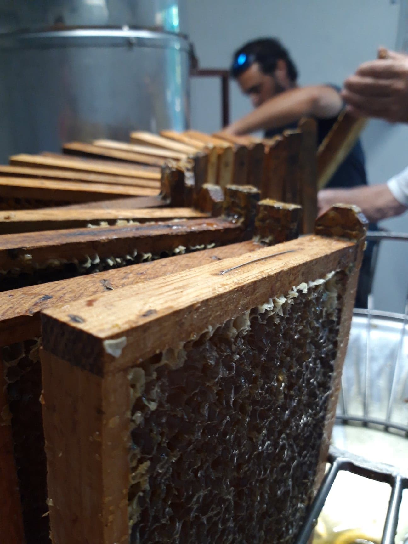 Extraction miel
