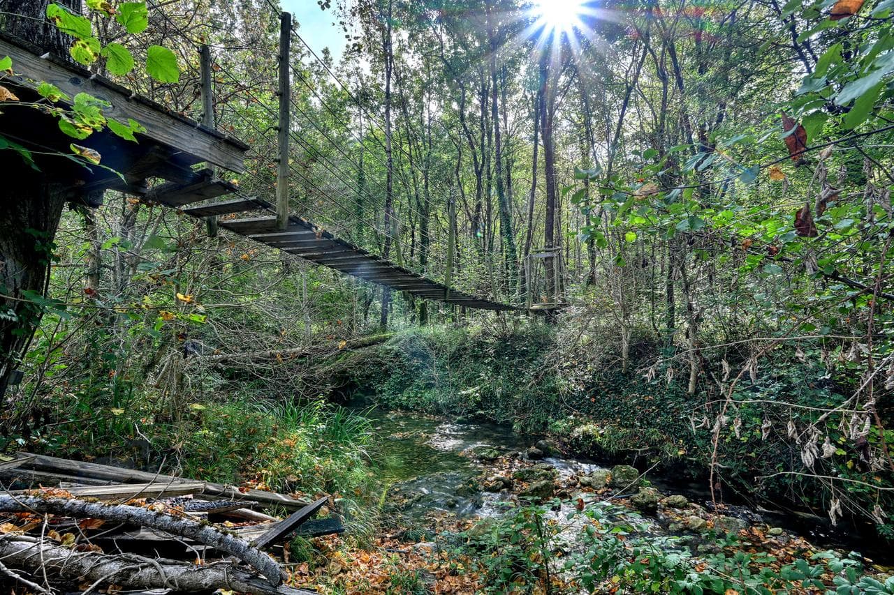 Gite des libellules Le pont de singe