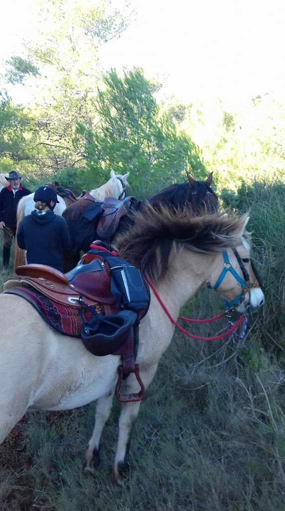 Association_le_cheval_des_Terres_Rouges_2