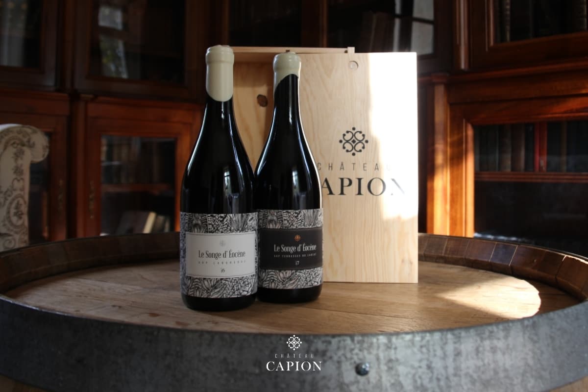 Chateau capion Eocene