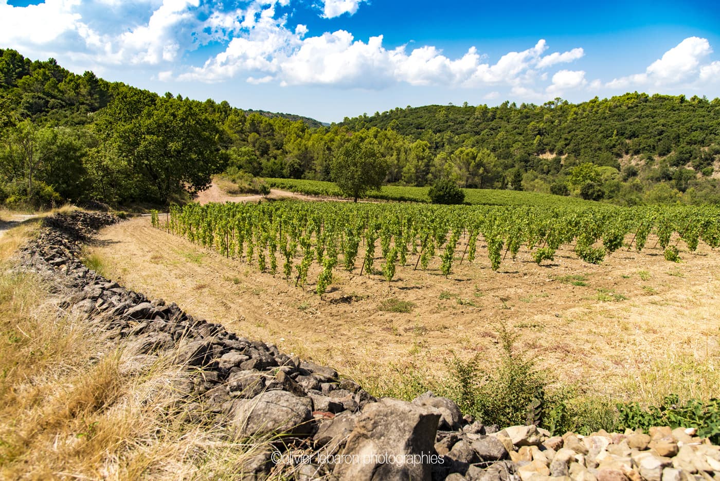 Domaine_de_Bellefontaine_2