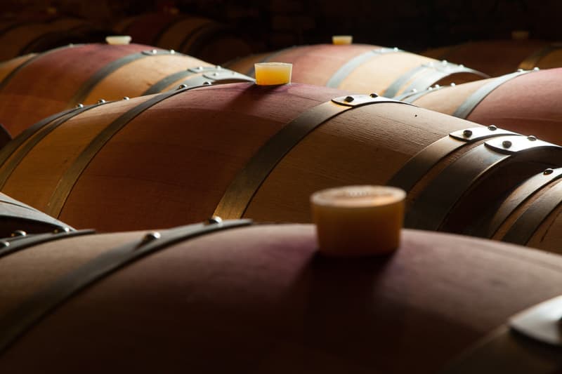 Domaine de l'Engarran - Laverune_17 © Emidio Castri