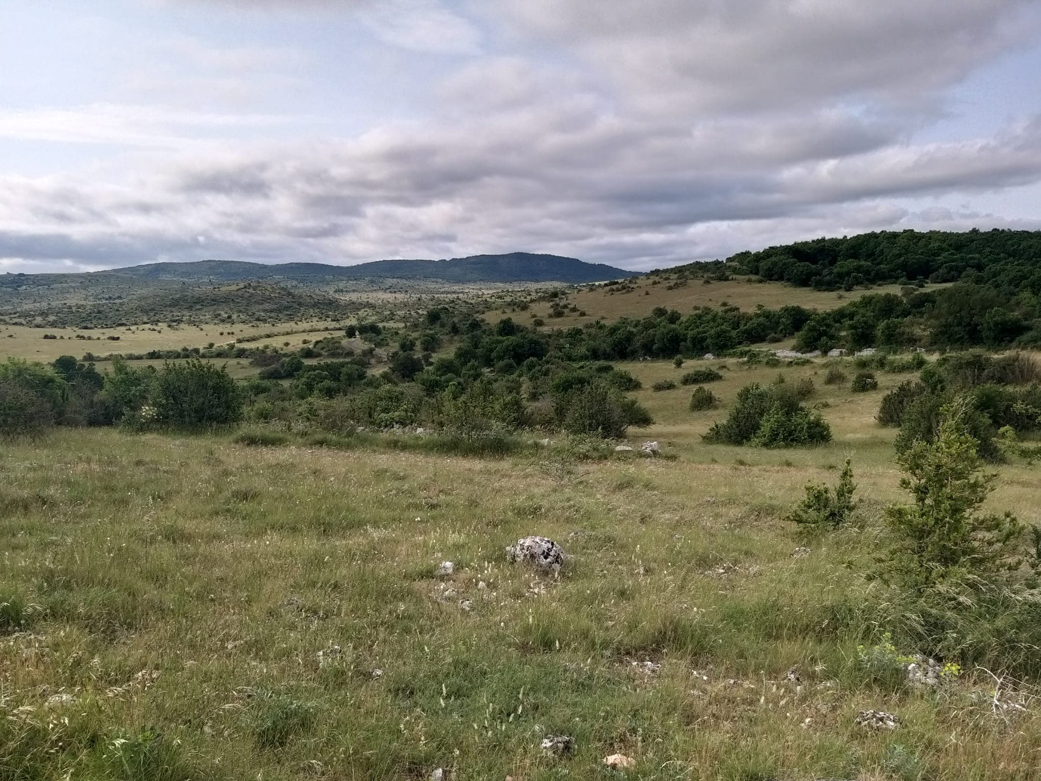 Domaine Départemental de la Vernède