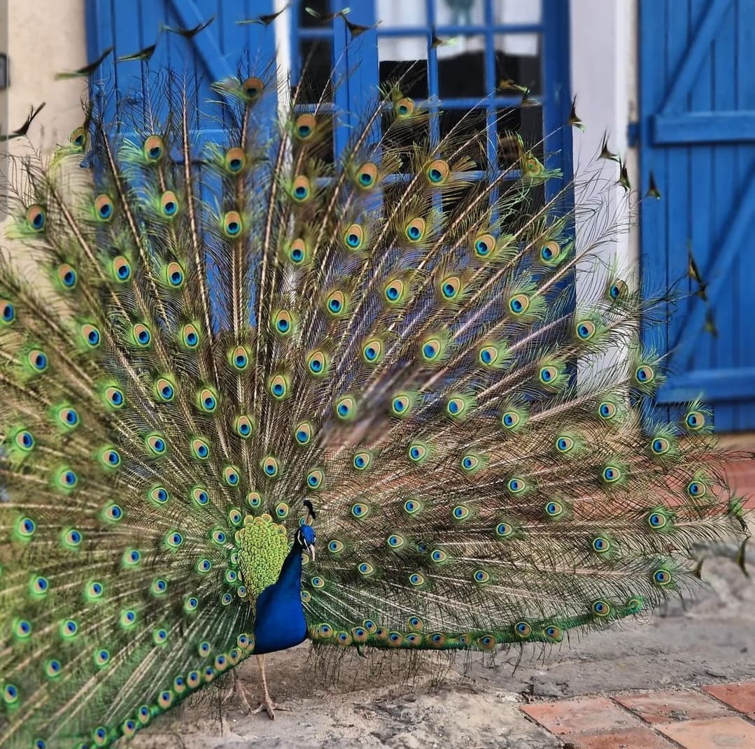 Les combelles - gite nature - exterieur