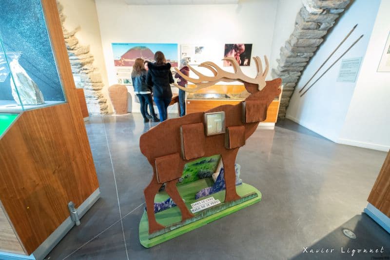 Musee_Saint-Pons3_X-LIGONNET