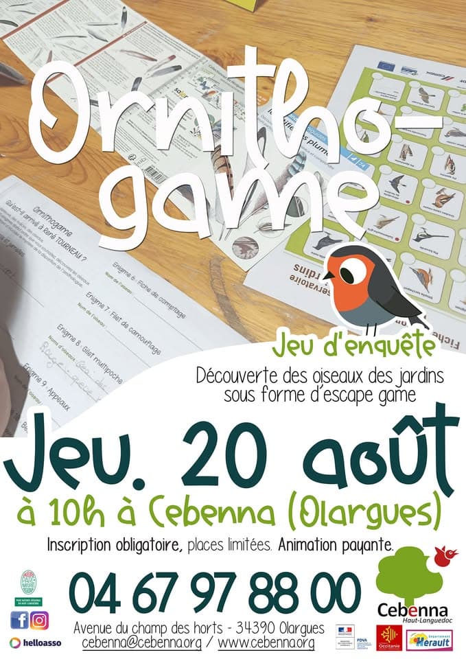 OrnithoGame- cebenna 200826
