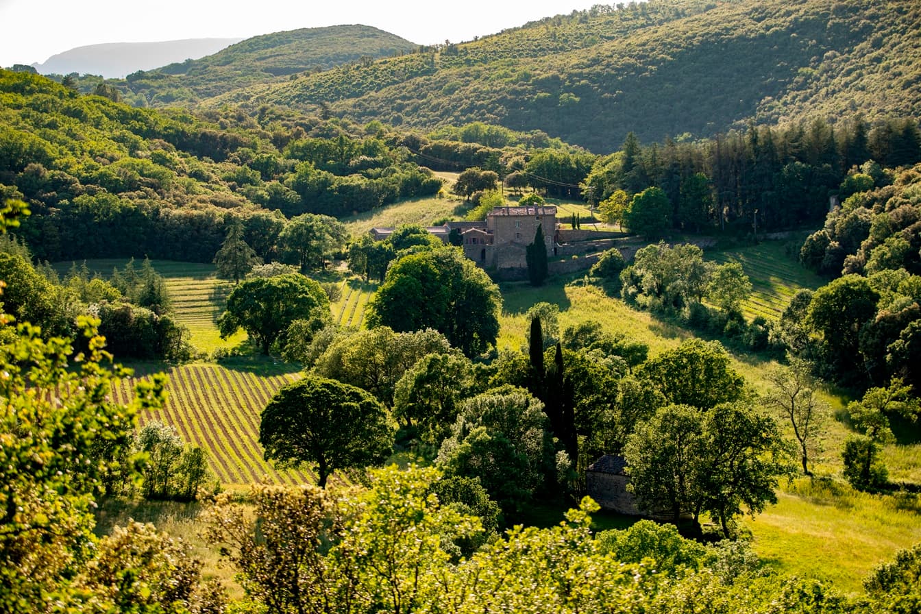 Vue du domaine Pouzes et massif du Caroux