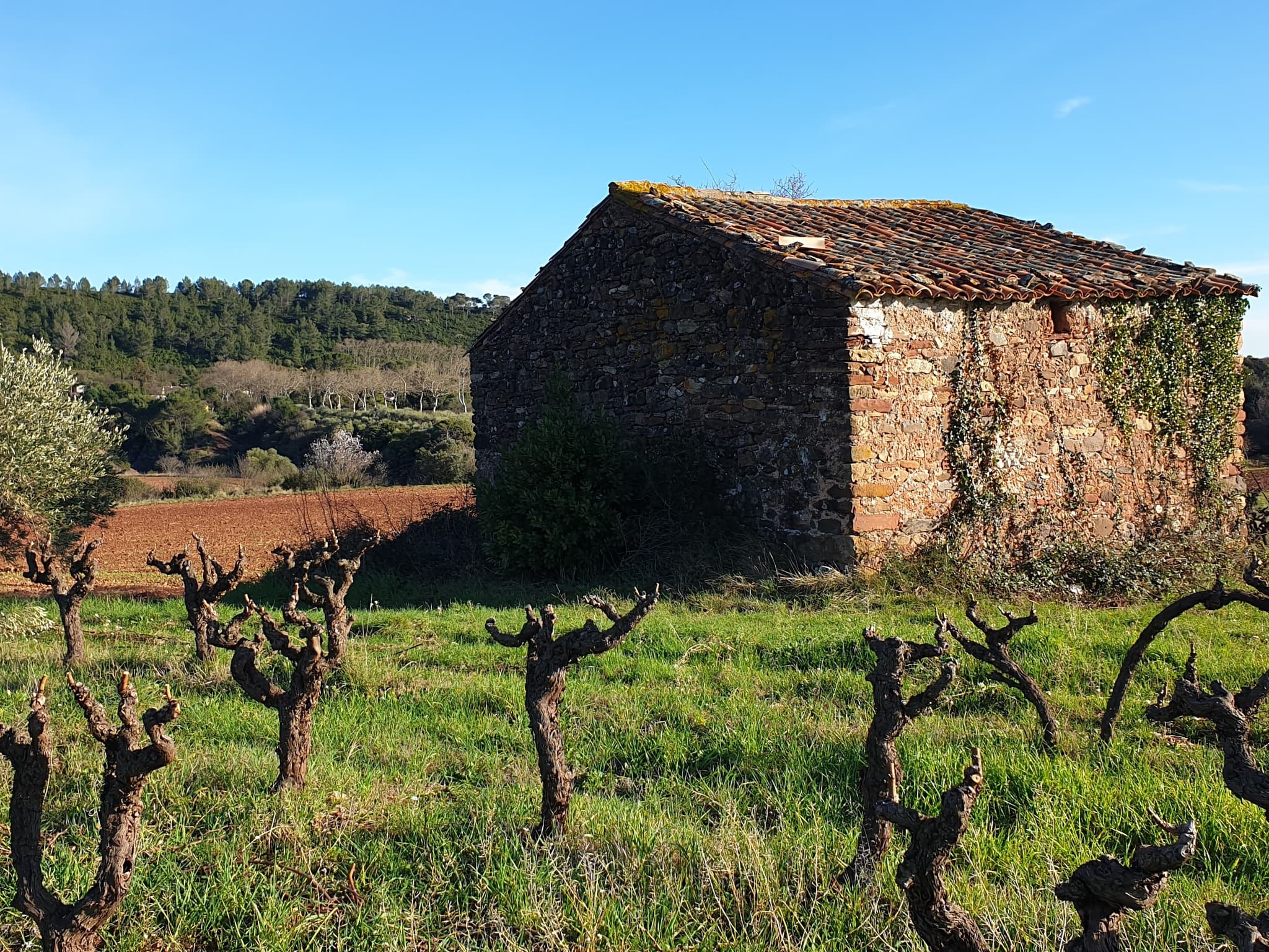 Le Mas de Clanny