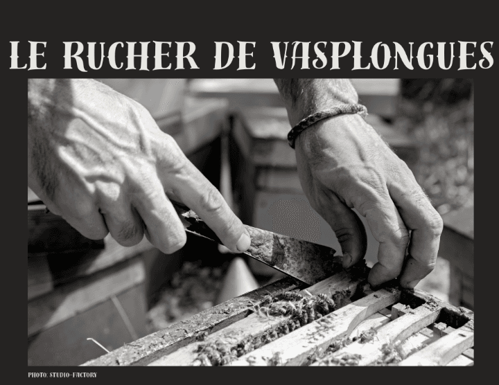 photo more chevalier