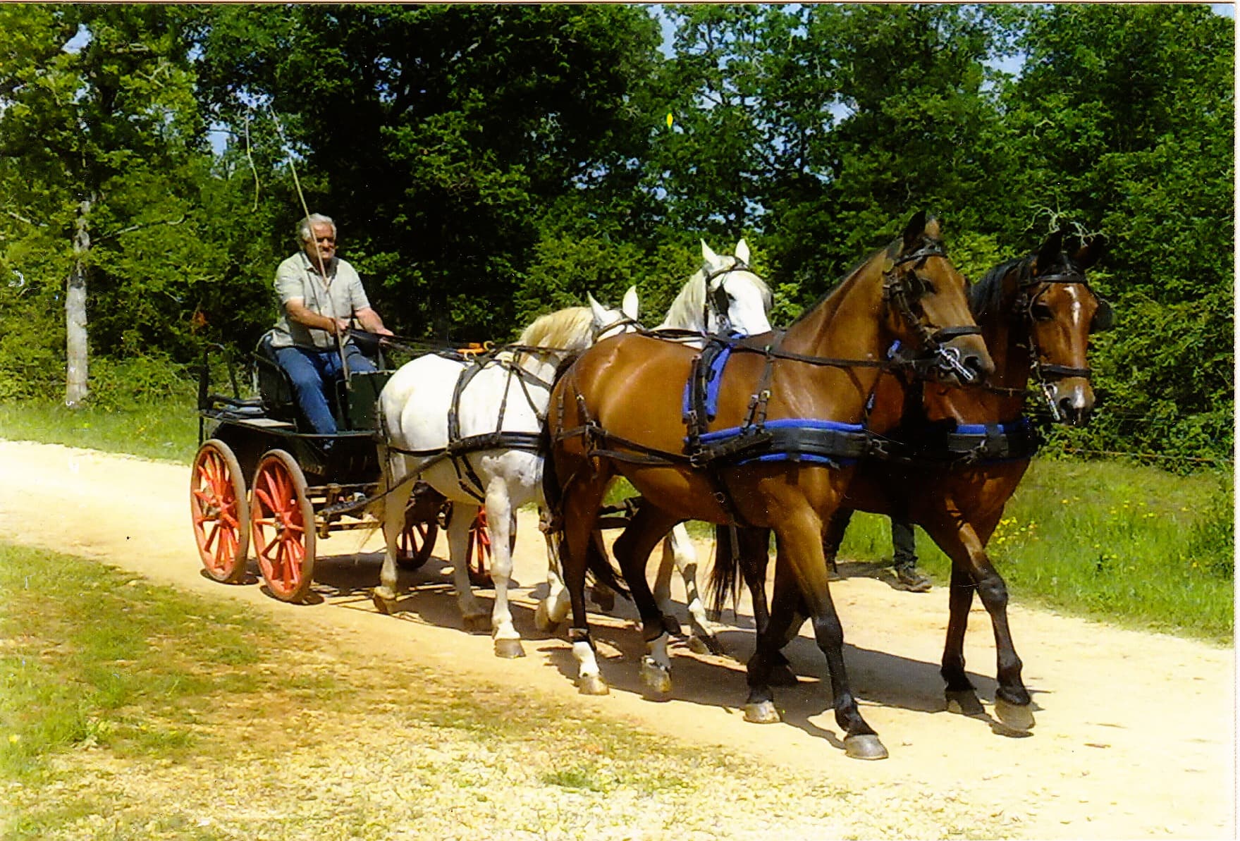 Centre équestre Les Hauts Ferrés