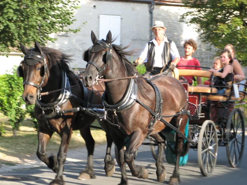 AttelageBaladin