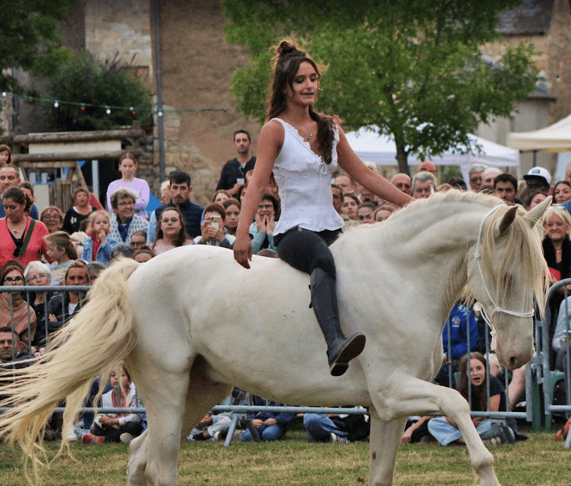 Grand spectacle équestre