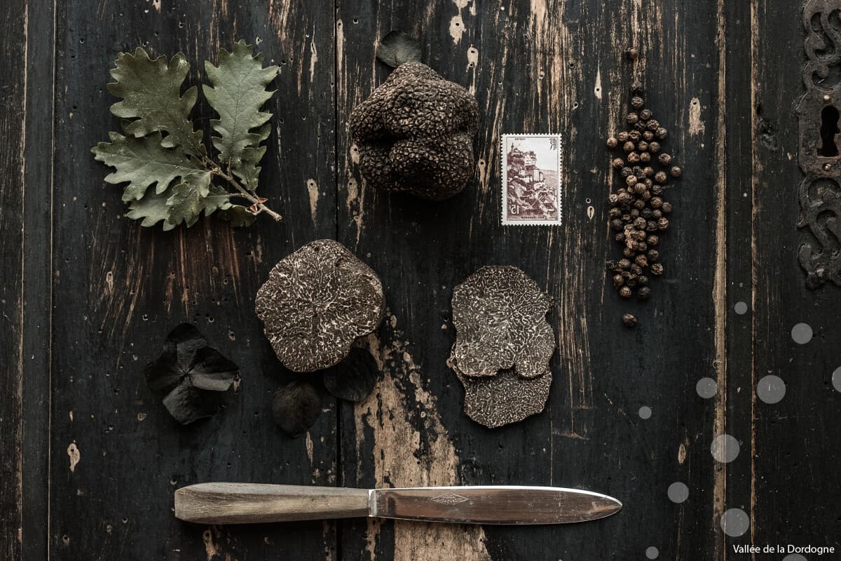 Cauvaldor-Truffe-lifestyle--MalikaTurin-2808.jpg-1200px
