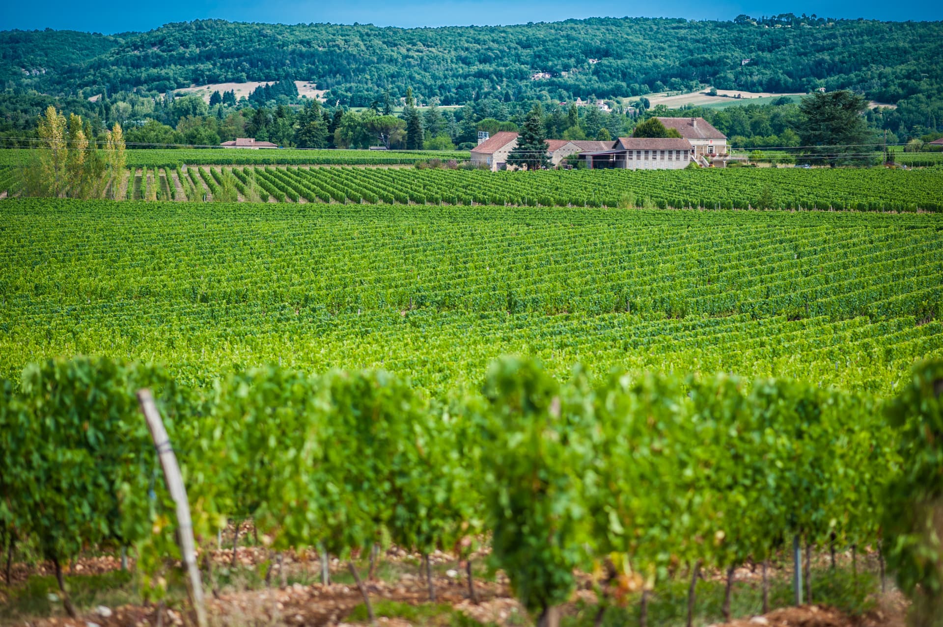 Château Famaey à Puy l'Evêque_06 © Lot Tourisme - C. ORY
