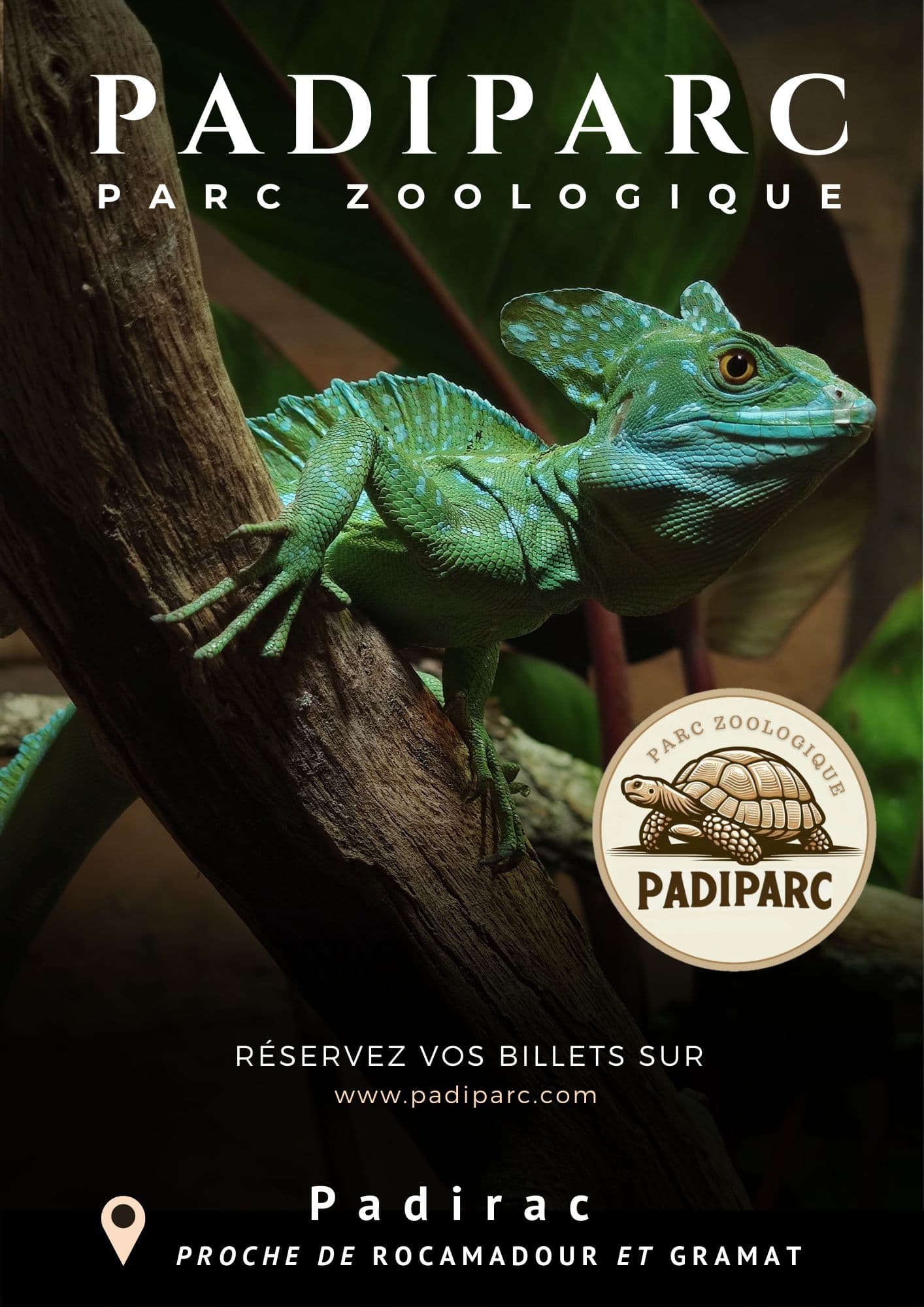 Basiliscus plumifrons