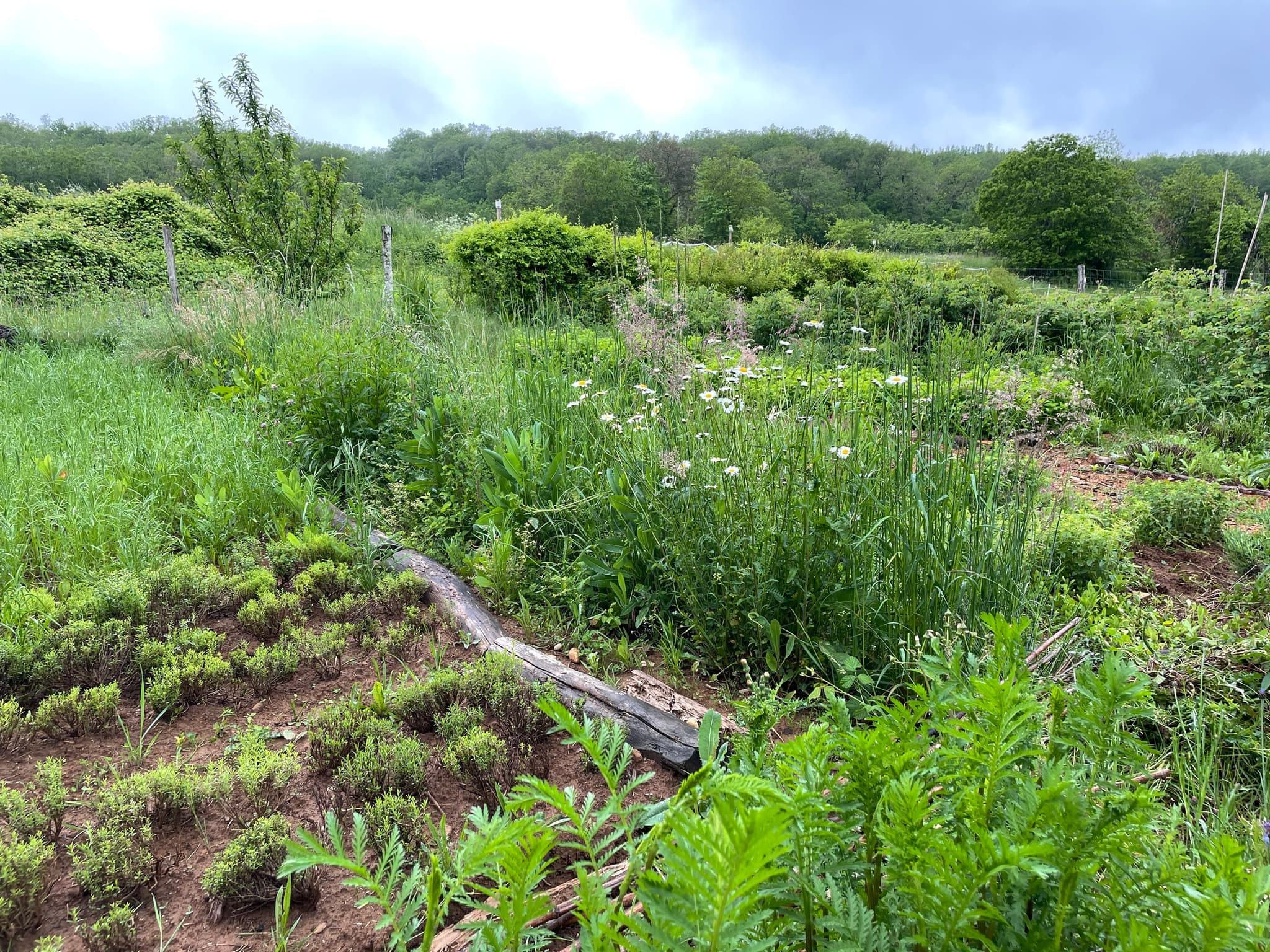 Les Jardins d'Achilléa