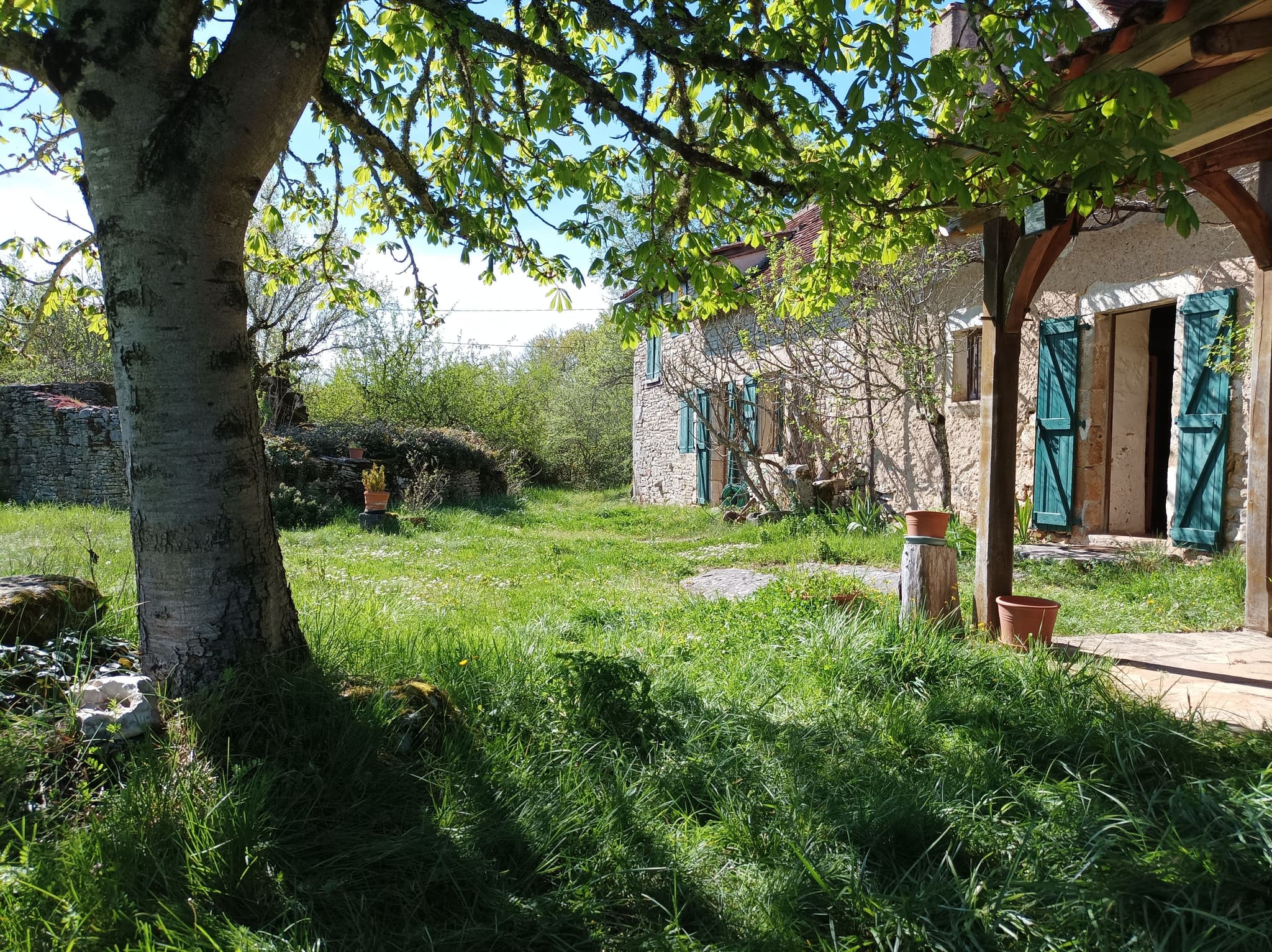 Jardin