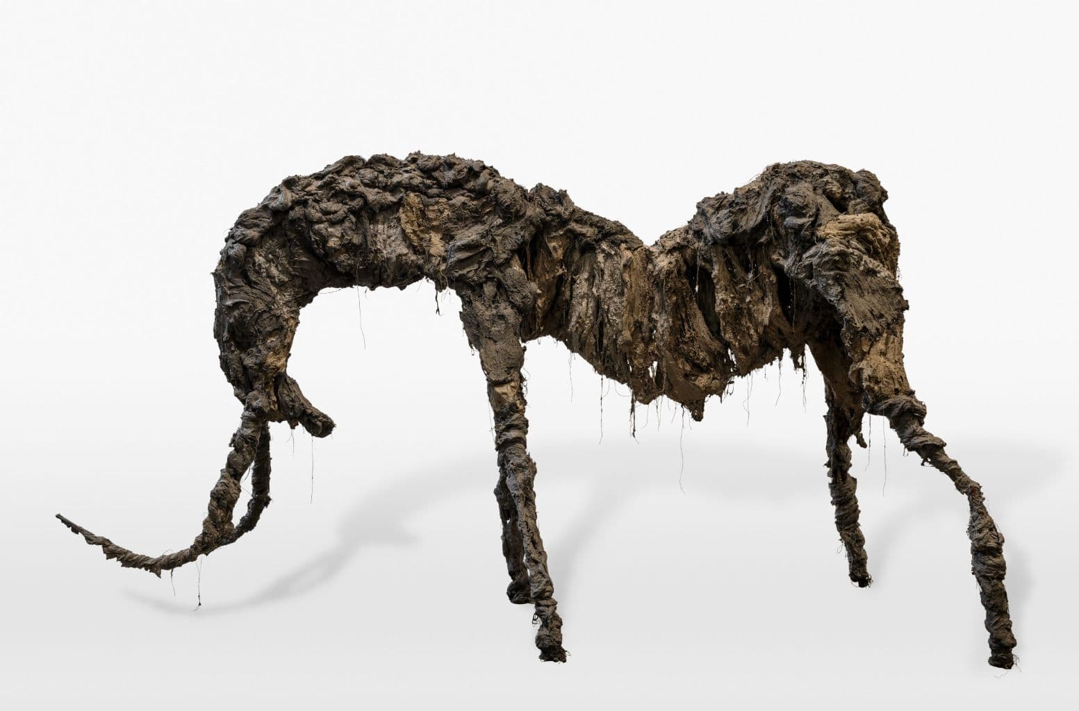 Exposition MAGCP de Cajarc : "Un Désir Souterrain"