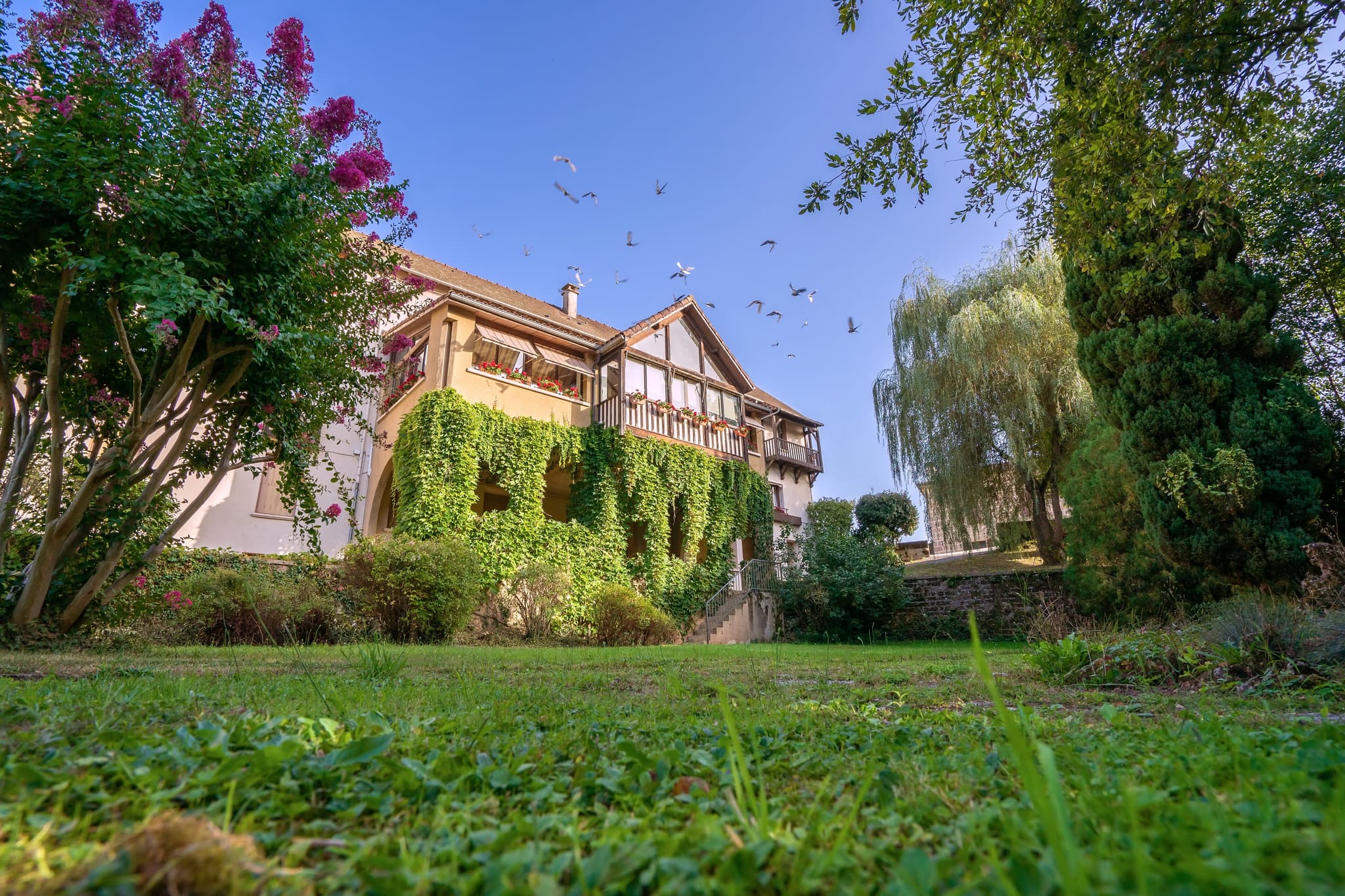 jardin