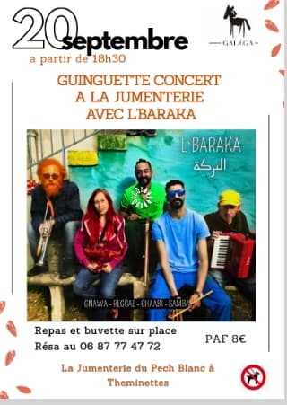 Concert