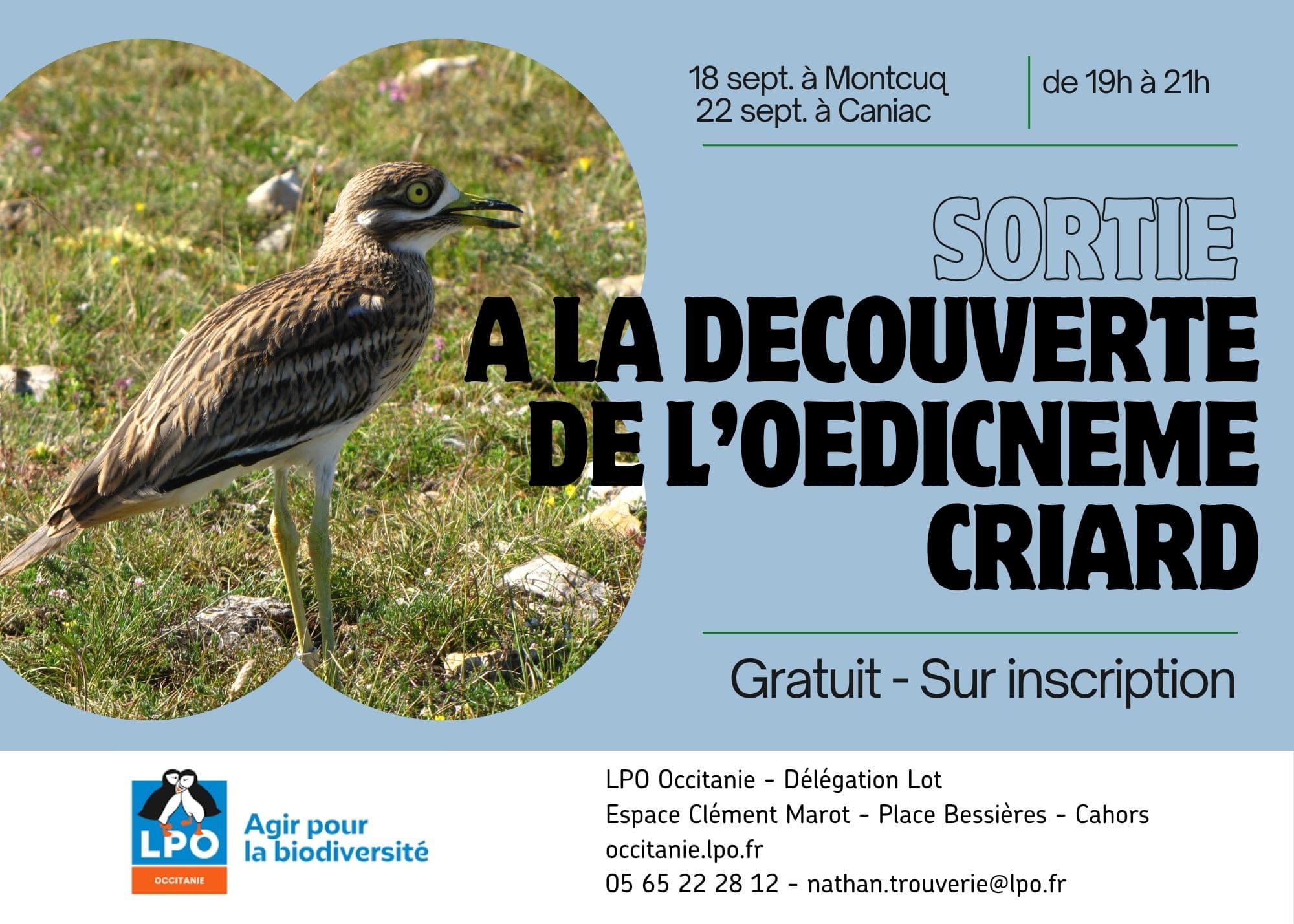 Affiche animation - 2024