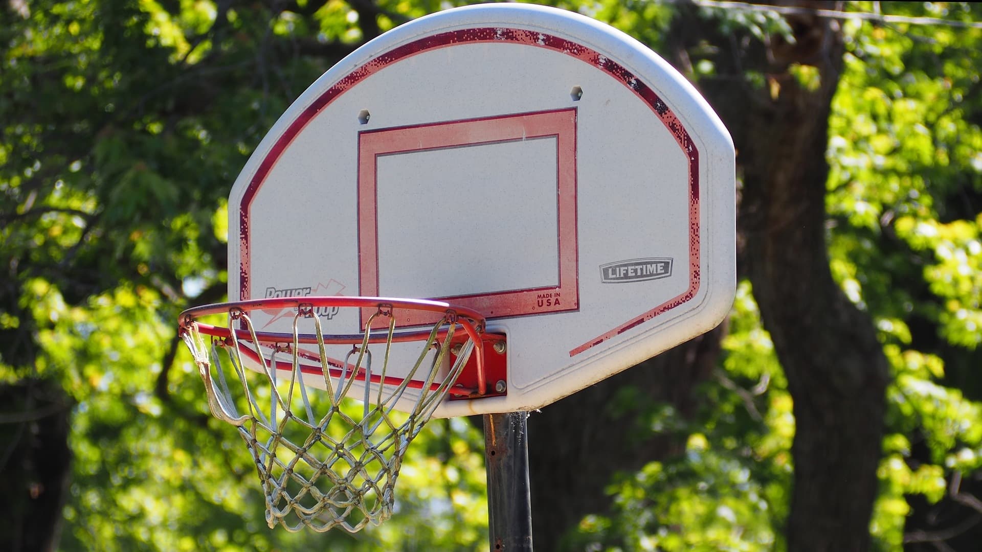 basket