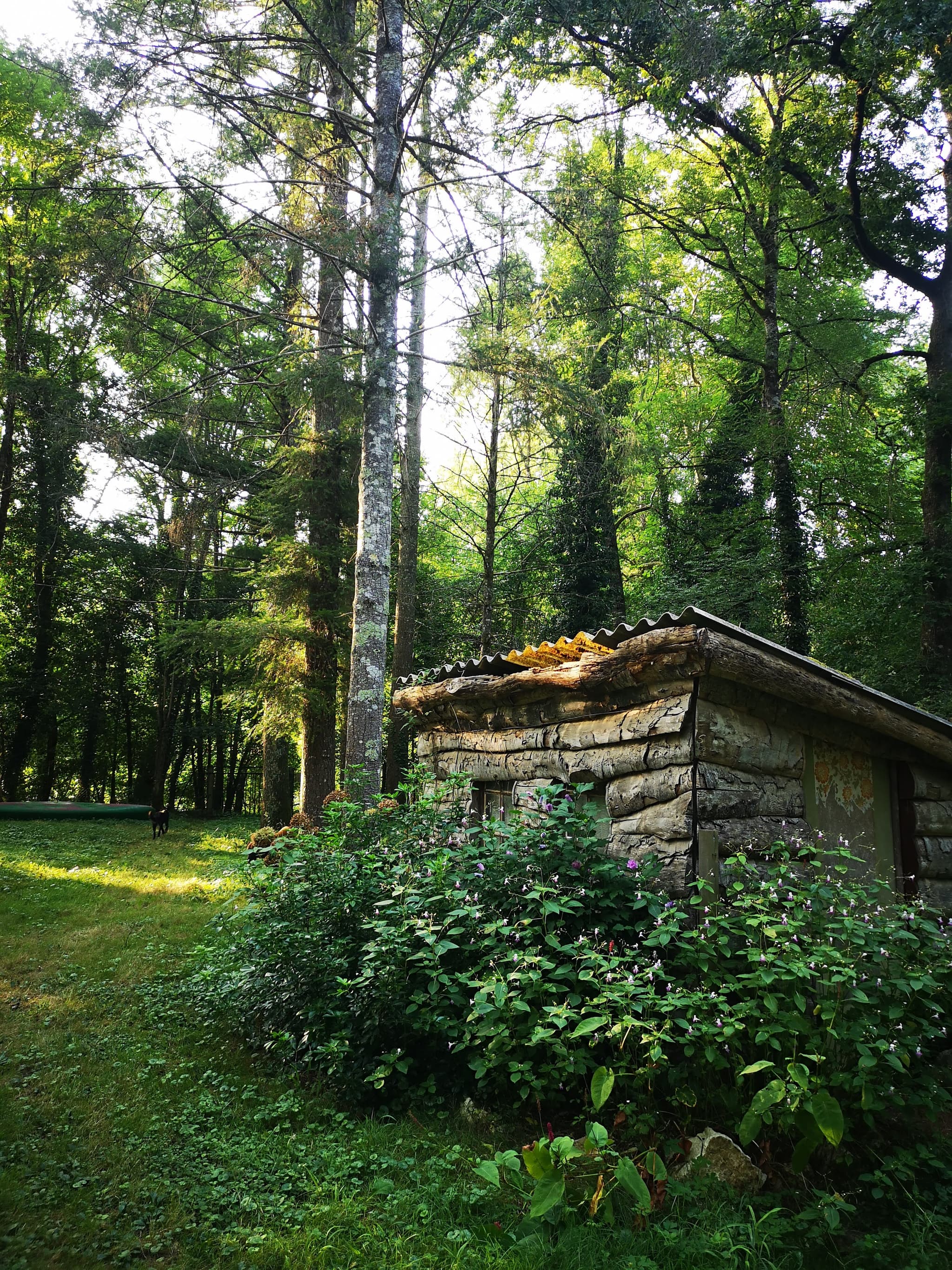 Le Chalet