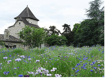 cahors_bio