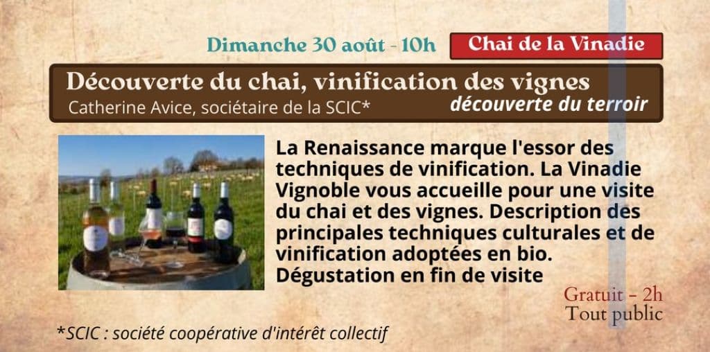 visite chai vinadie