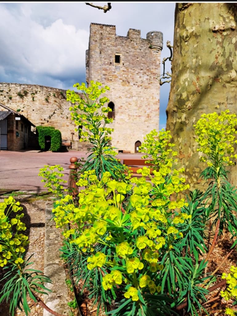 expo DE Boissieu donjon Capde