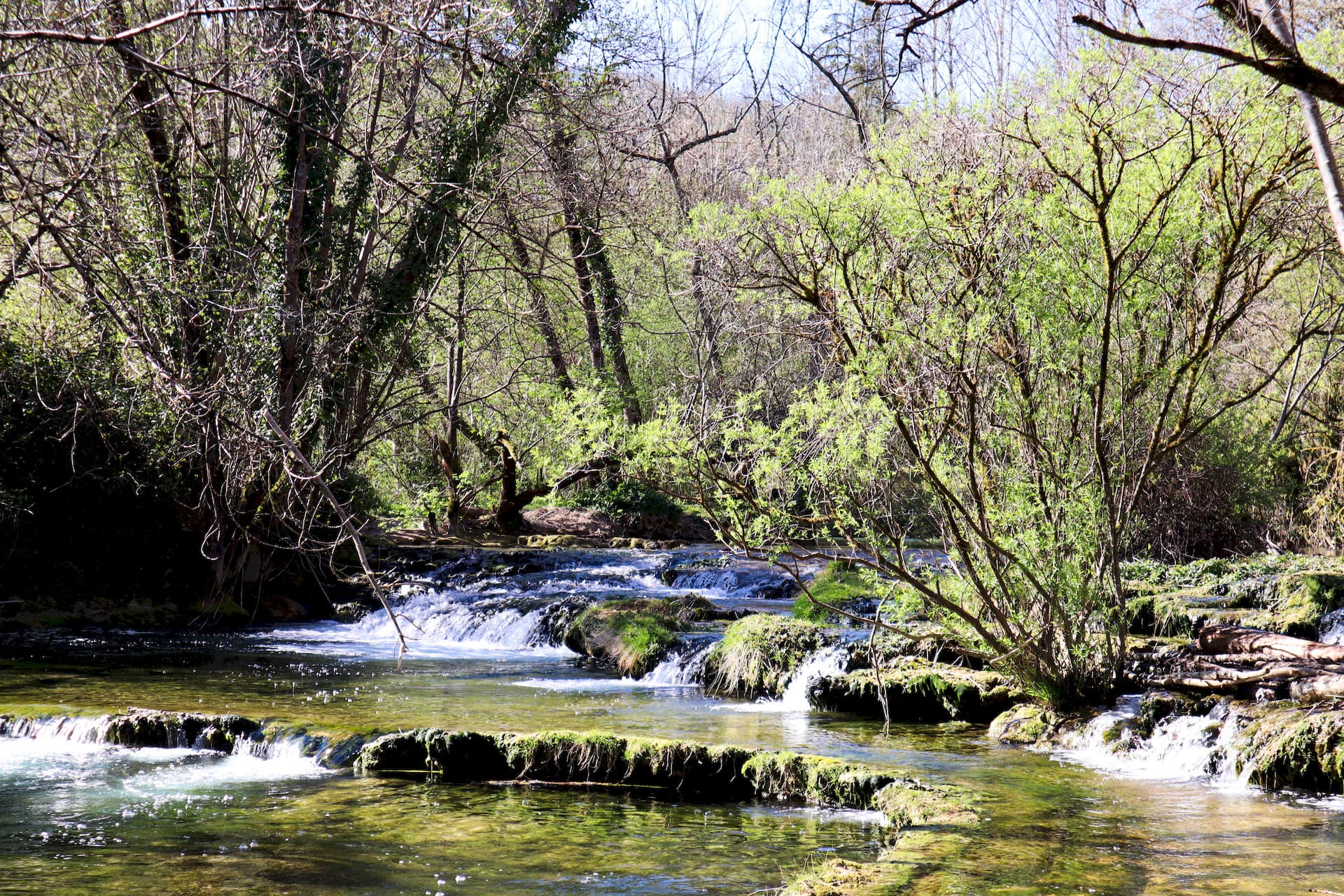 Les Chemins de Colin