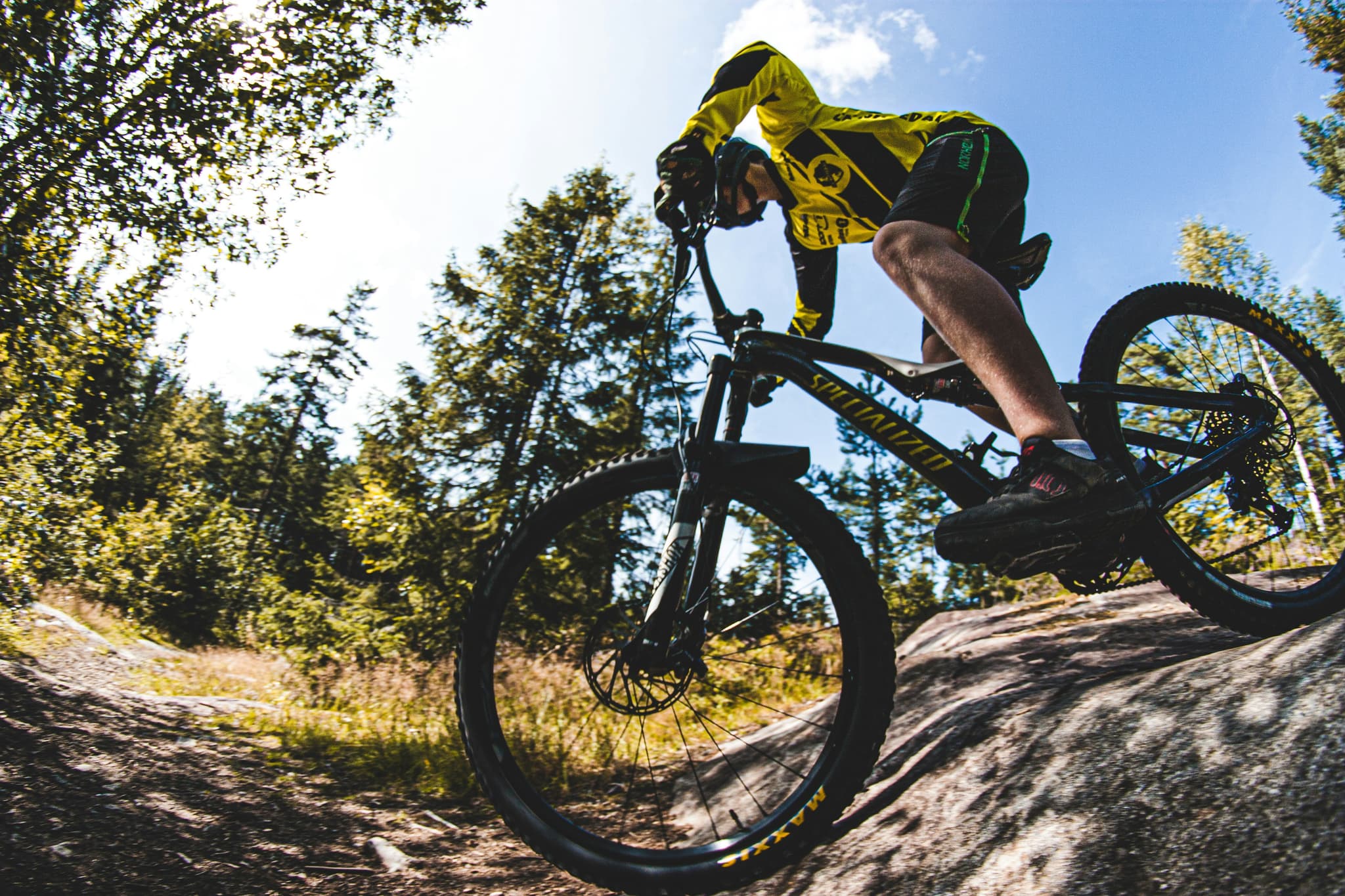 VTT